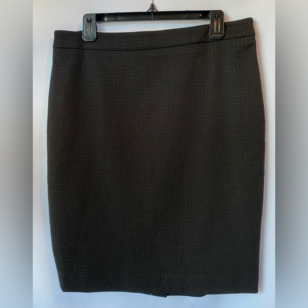 Ann Taylor Skirt